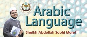 learn arabic language program
